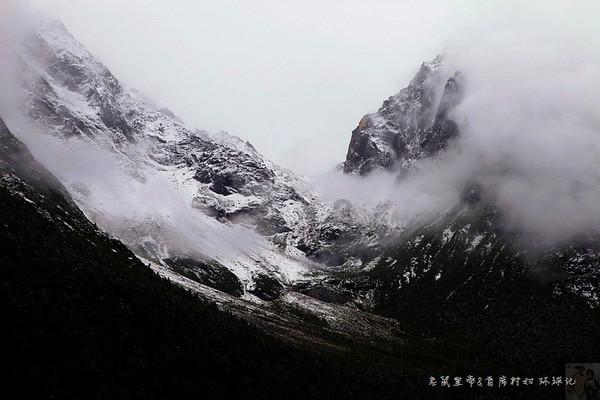寻找奈良树花