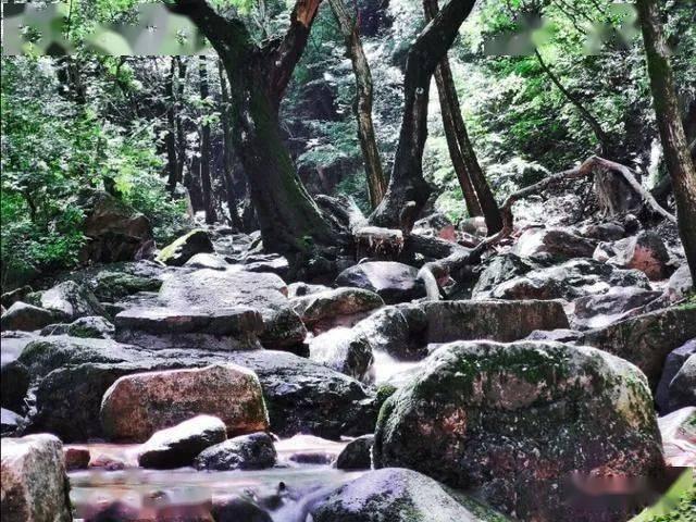《 如果奔跑是我的人生》:林天宇的毒舌缘由