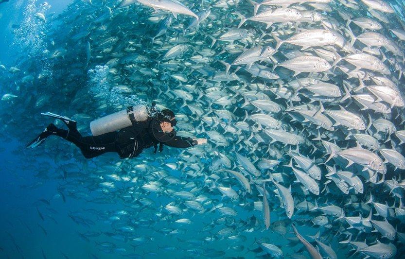 海底捞有哪些白嫖技巧？游戏画面