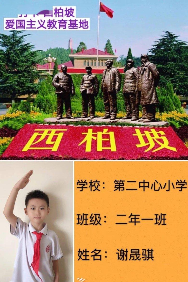 探探猫之飞刀大师