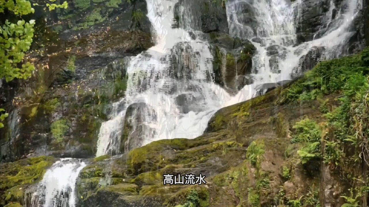 有什么诗句能够表达出，感情不会随游戏画面